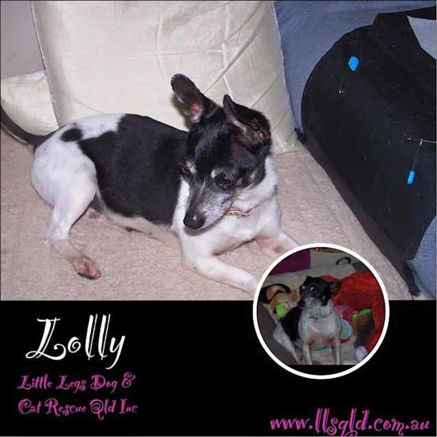 Best of Lolly small