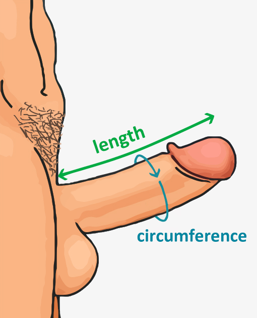 amir owrangi recommends 10 inch cock measured pic