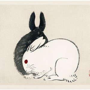 dave wittig recommends asian bunnies pic