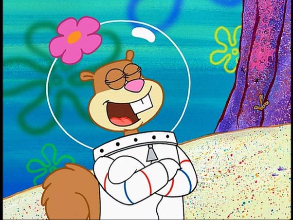 bindu garg recommends sandy cheeks sexy pic