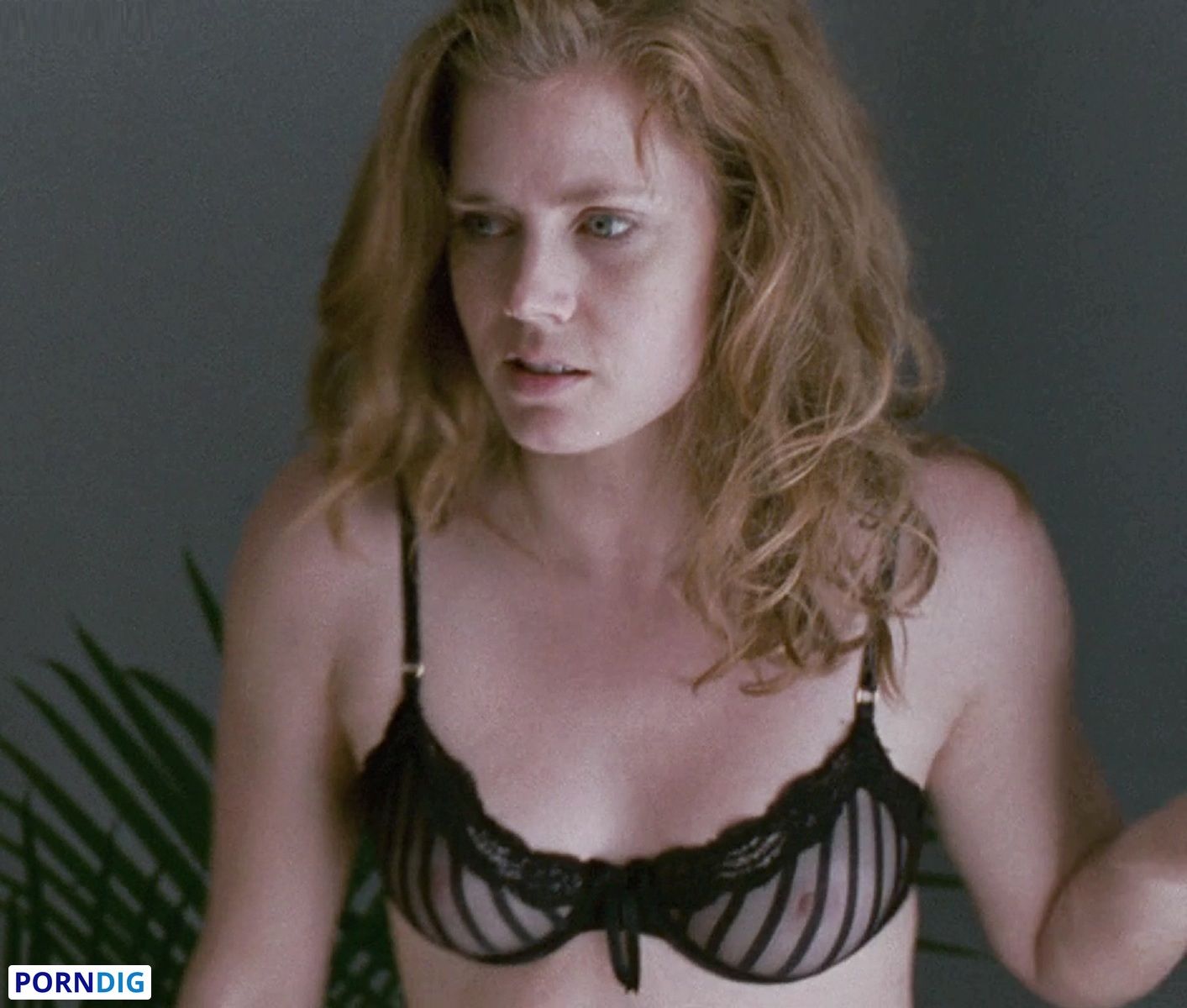 chan keung share amy adams nudes photos