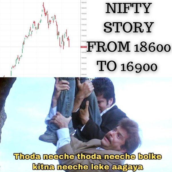 bob tazmania recommends Nifty Stores