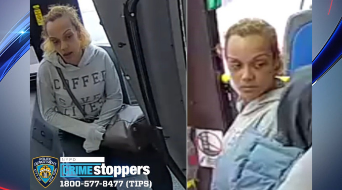 brittany nicole johnson recommends woman groped on bus pic