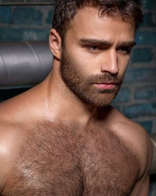 Best of Hairy men pictures