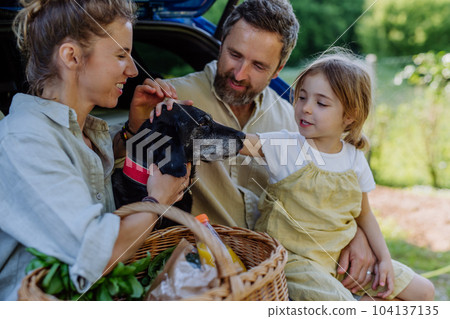 Best of Stroking the family