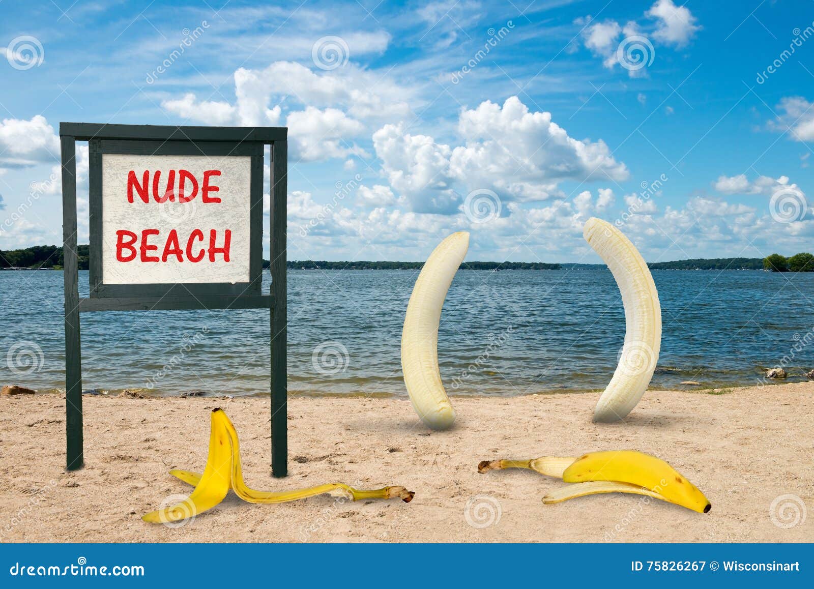 donald arbaugh recommends Naked And Funny Beach