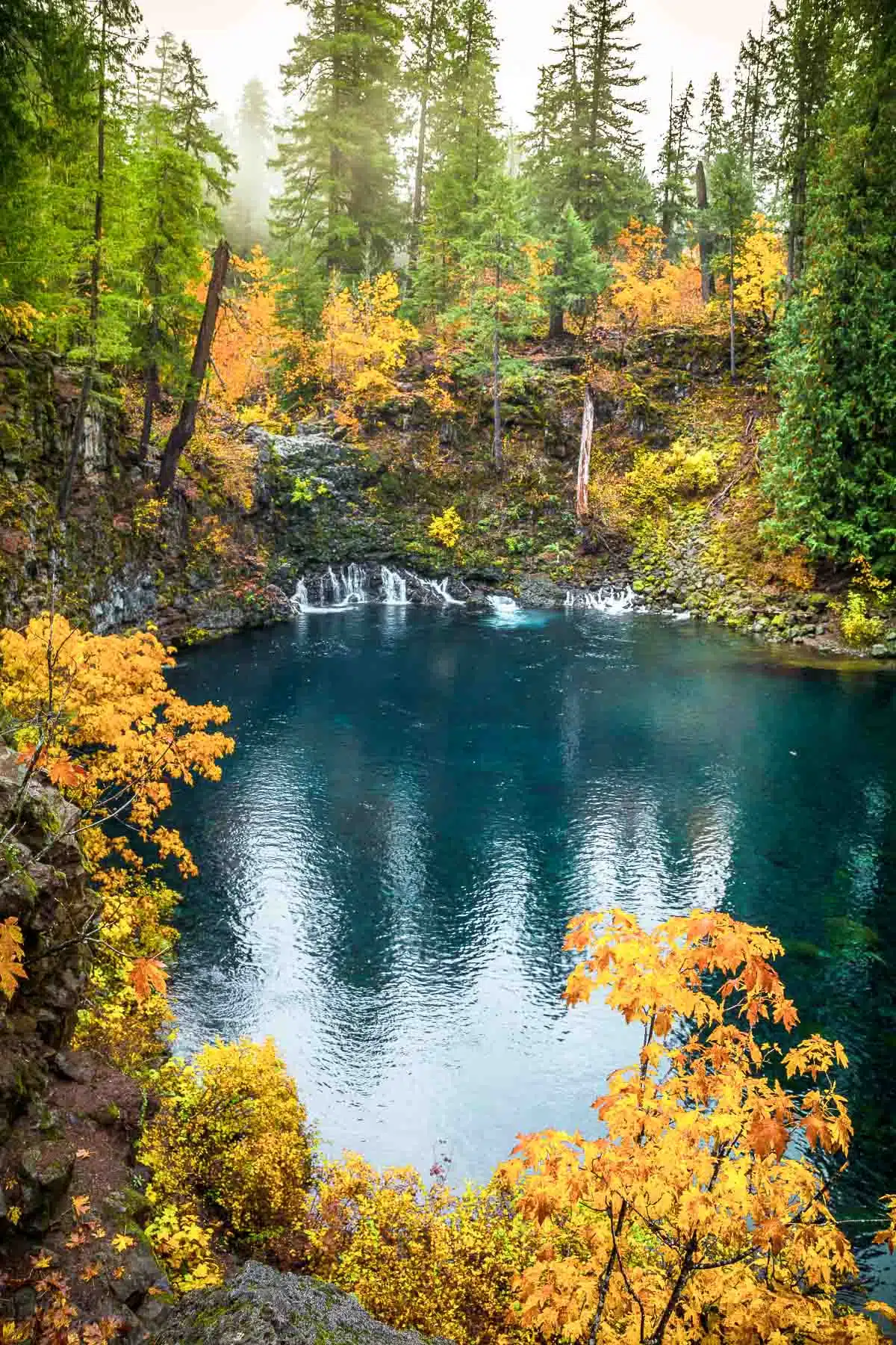 carmen haines share autumn falls pool photos