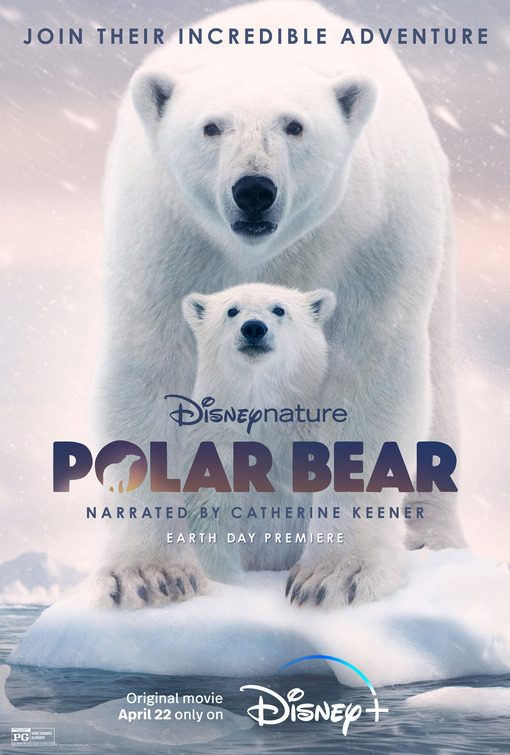 cenea camacho recommends Polar Bear Porn