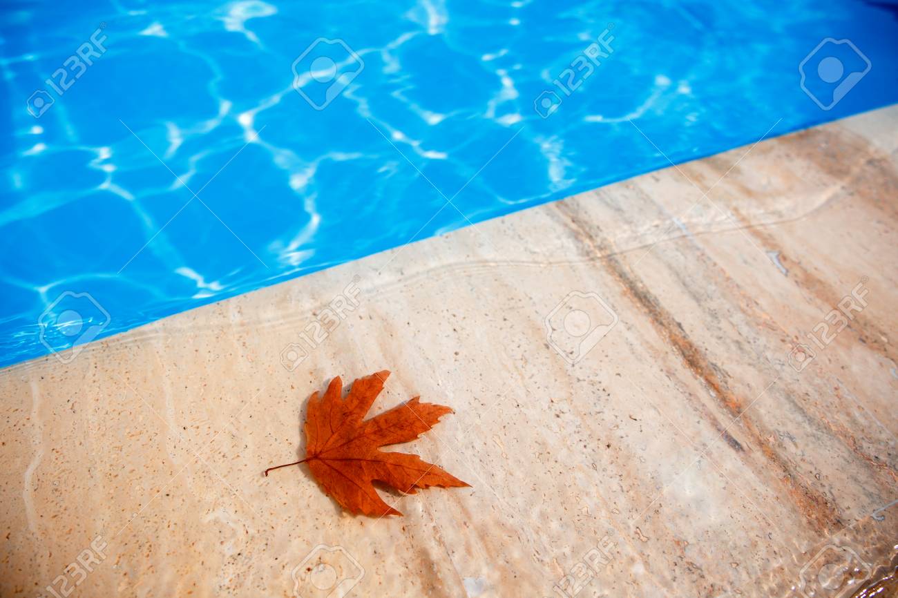 daniel d coleman recommends autumn falls pool pic