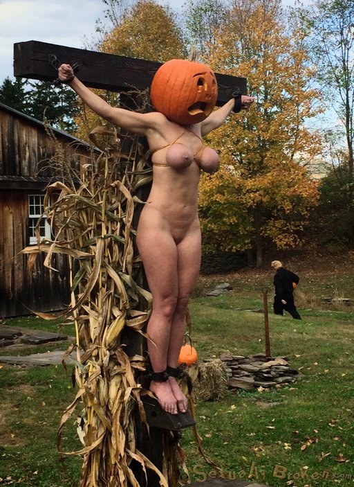 denise harms recommends Bdsm Pumpkin