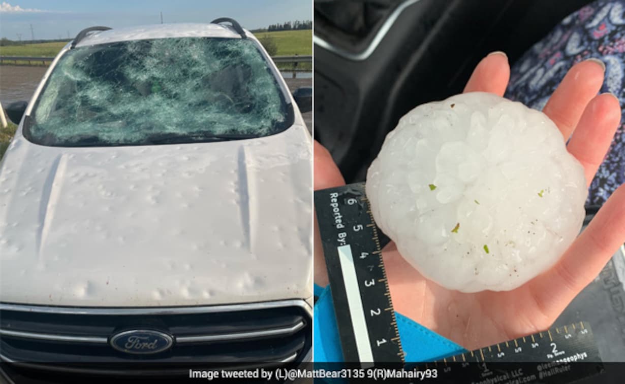 armani davis recommends sydney hail porn pic