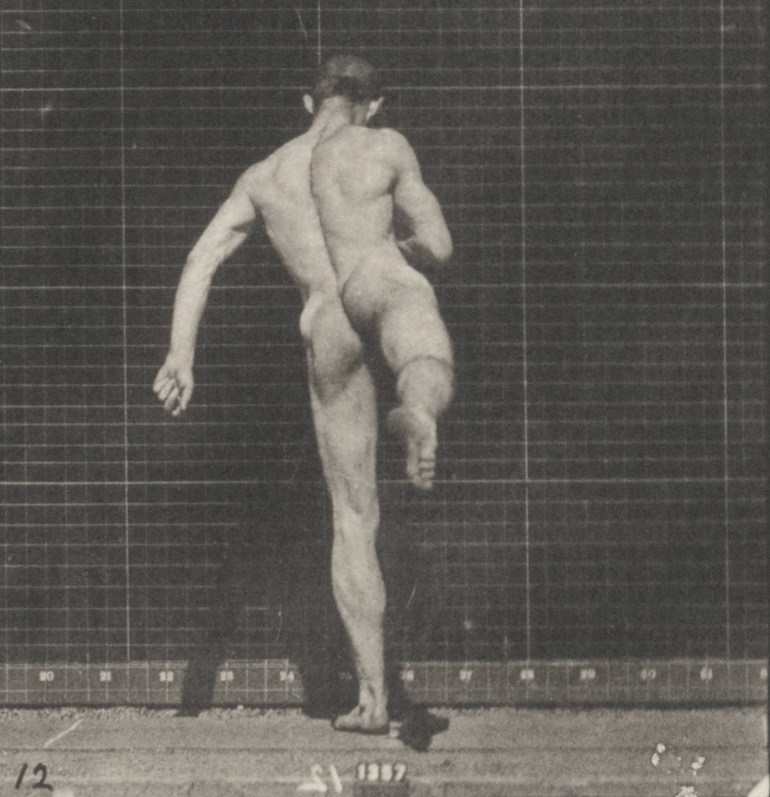 adam sherer recommends Nude Ballet Men