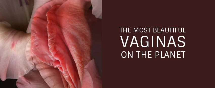 Best of Most beautiful vaginas