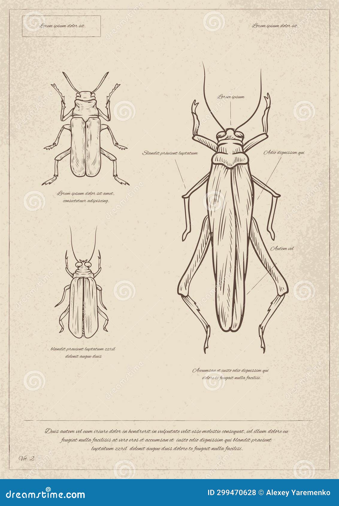 diana lizarraga recommends o dio insect pic