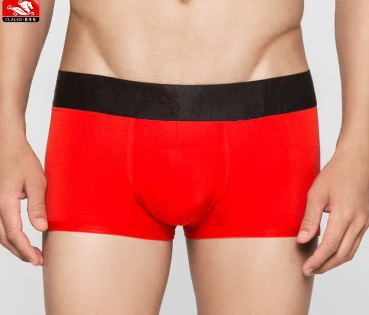 amir mazor add photo boxer underwear porn