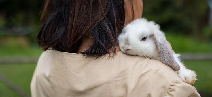 bryan mclane share asian bunnies photos