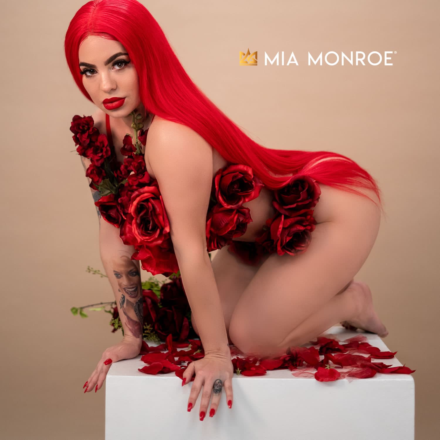 adebimpe adeshina recommends Mia Monroex