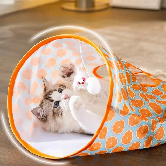 bunny randhawa recommends tube kitty com pic