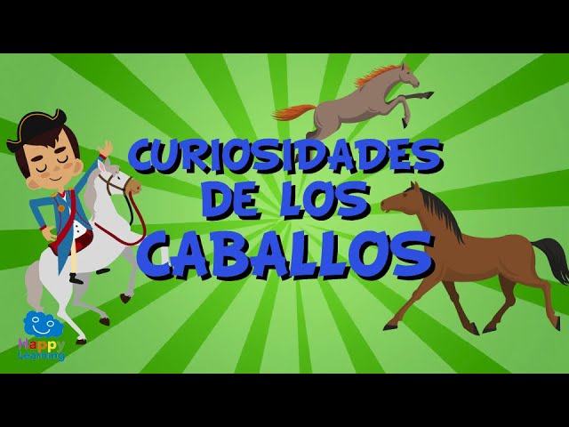 bilal marhaba recommends videos pornos caballos pic