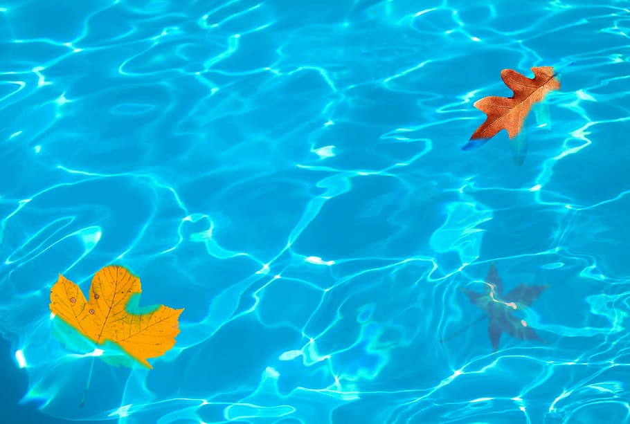 darlene knowlin recommends autumn falls pool pic