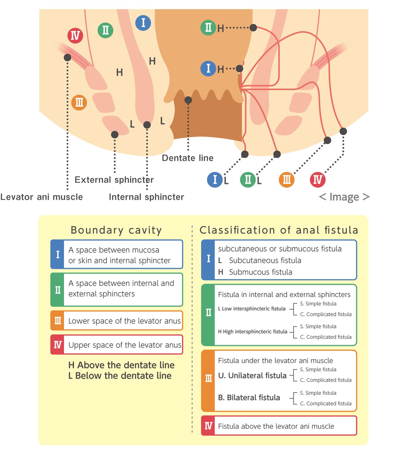 anal category