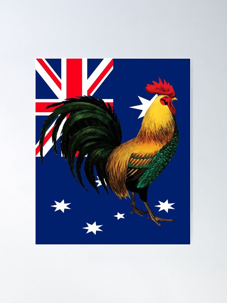 cindy malachowski add photo australian cock