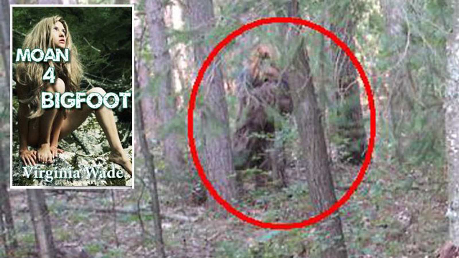 courtney davenport recommends porn bigfoot pic