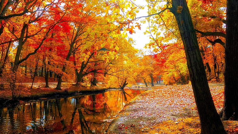 autumn falls hd