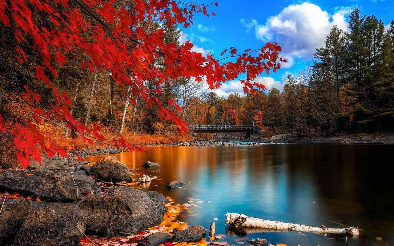 Best of Autumn falls hd