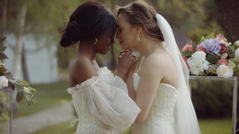 andrea piccirillo recommends Lesbian Wedding Night Video