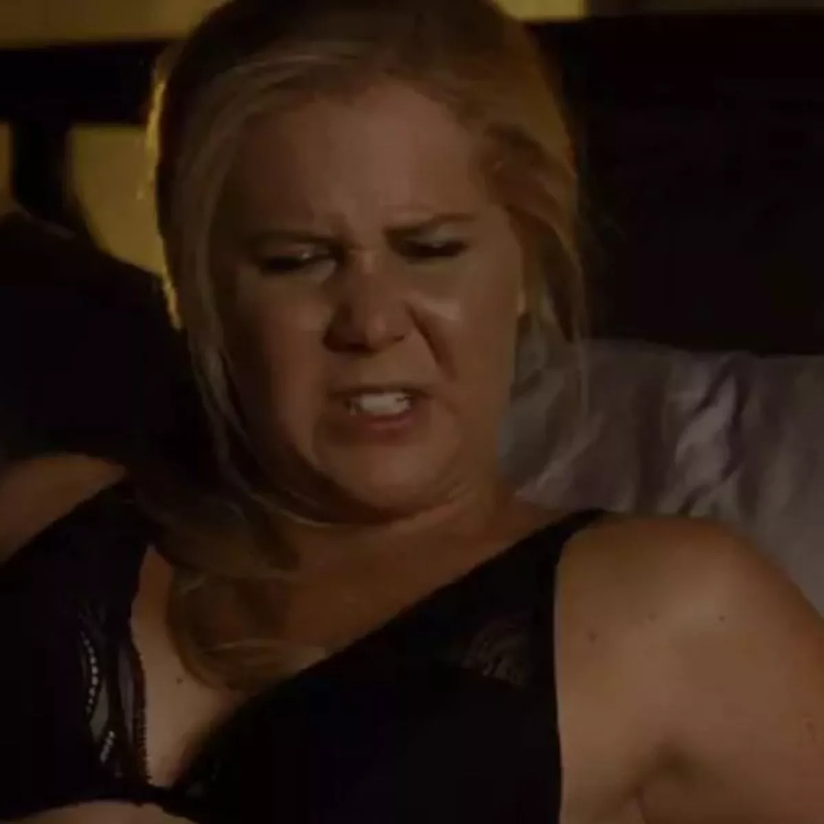 brigitte todd recommends amy schumer porn pic