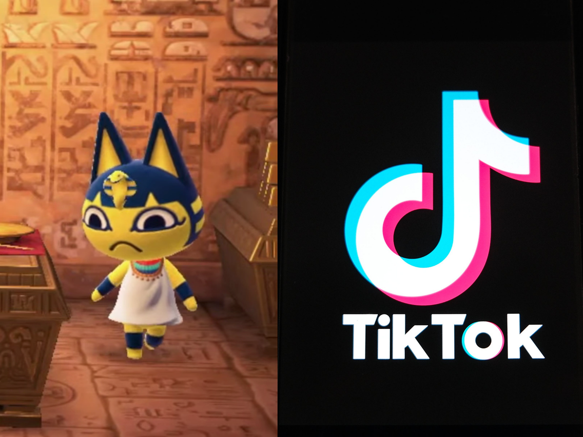 curtis slinkard share animal crossing ankha porn photos