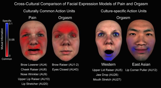 amber remmel recommends asian orgasim pic