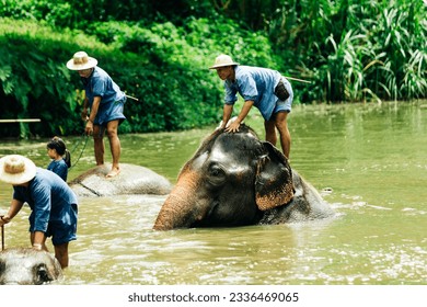 austin tolman add photo bareback in thailand