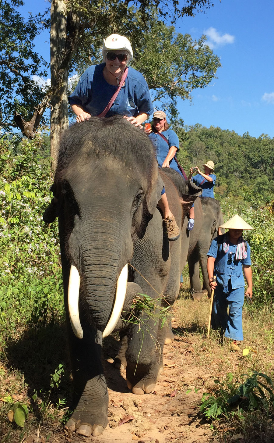 bareback in thailand