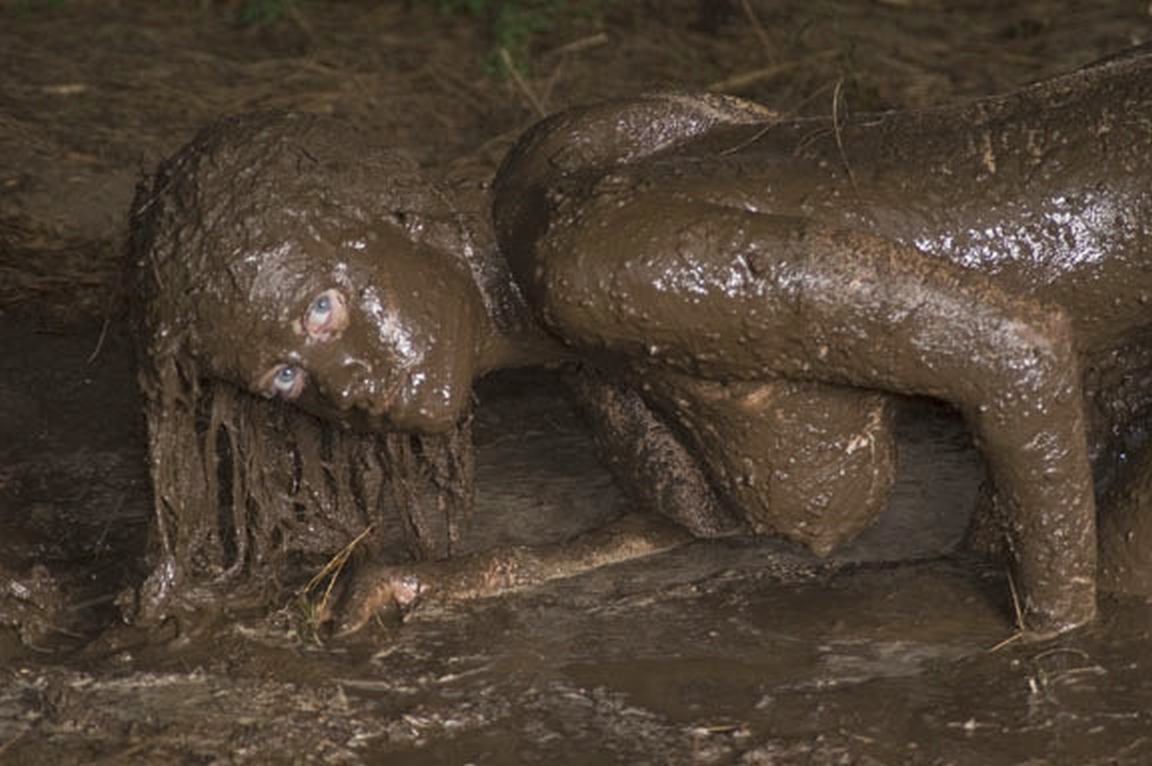 aubrey daniels add photo bondage in the mud