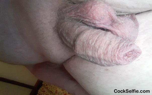 Best of Old man cocks