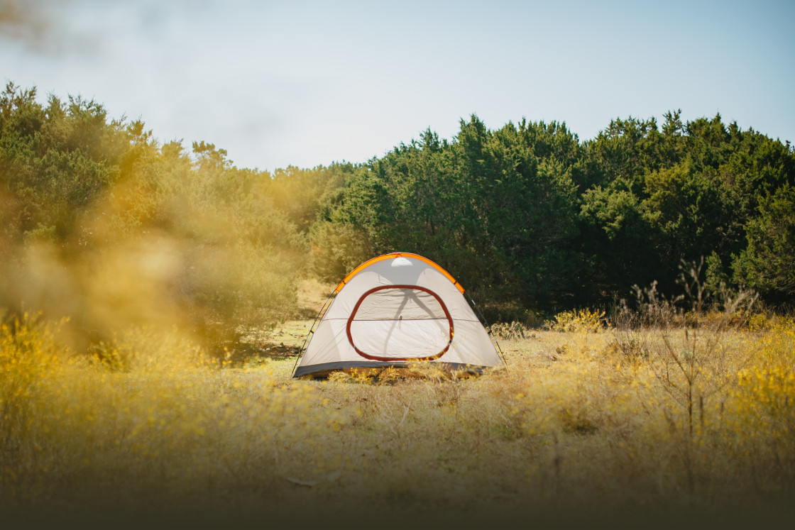 dale healey share daughter swap camping trip photos