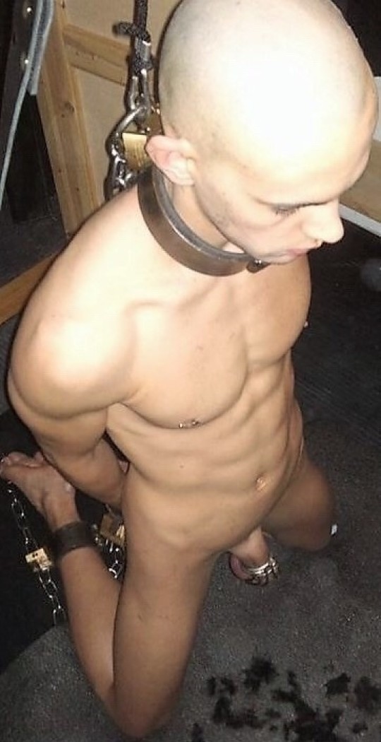 twinks porn stars