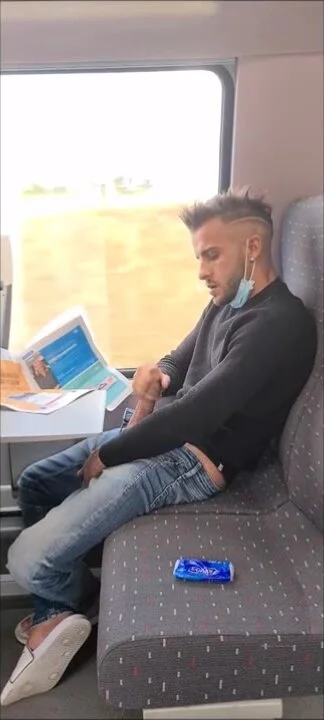 french guy jerking off in train