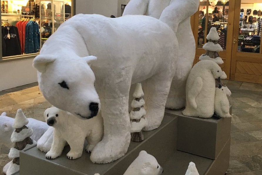 deborah monger add polar bear porn photo