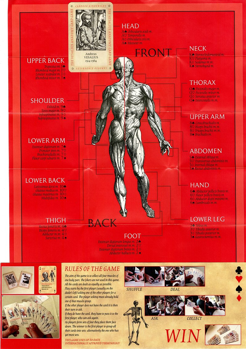 family strokes game