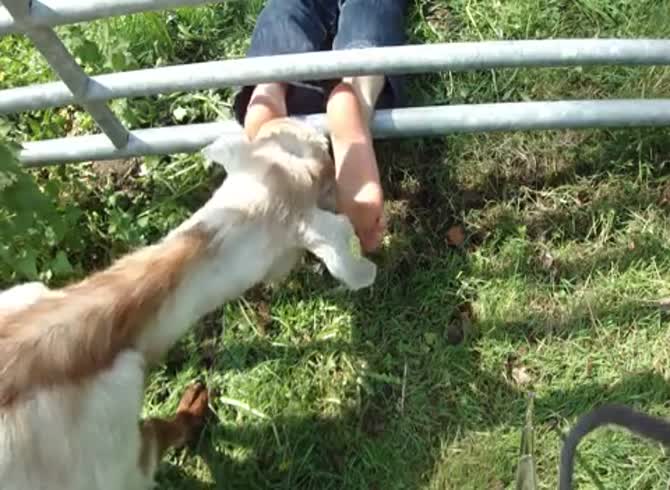 feetgoat porn