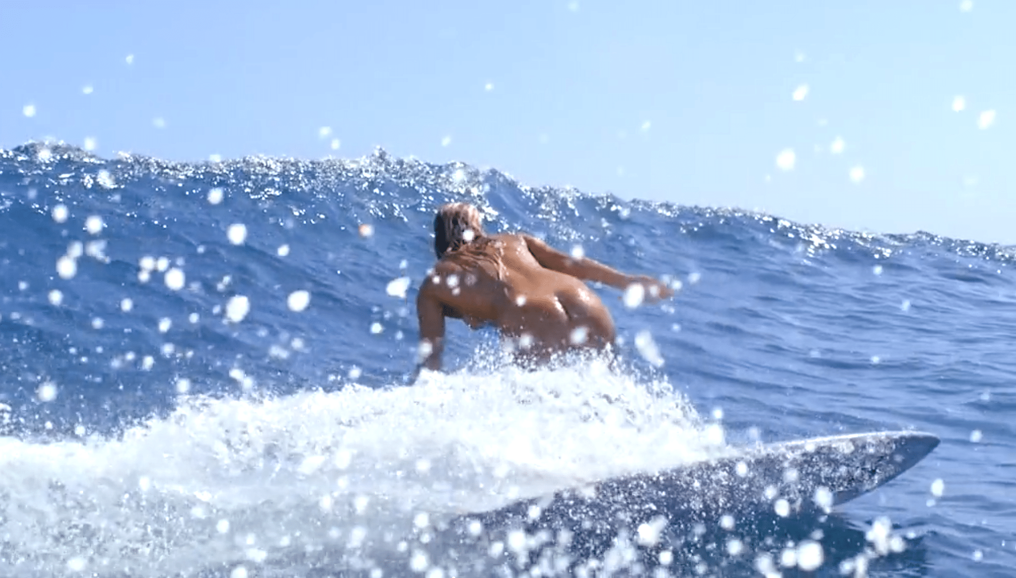 Female Nude Surfing ray pussy