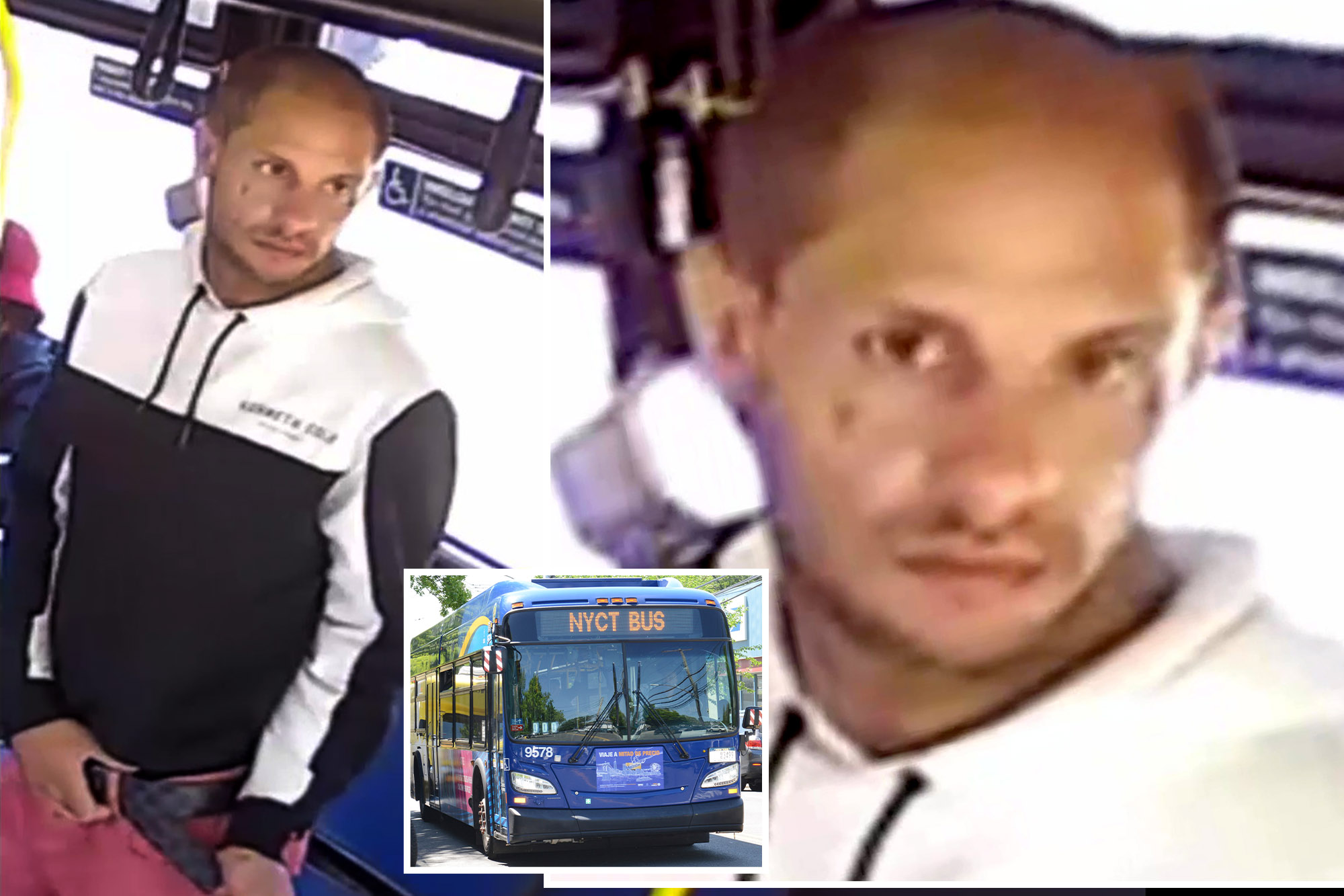 delton davis recommends fondled on bus pic