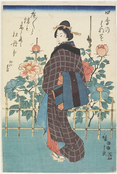 fujika kano