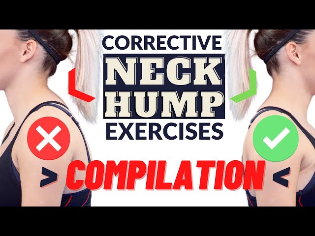 Hump Compilation music compilation