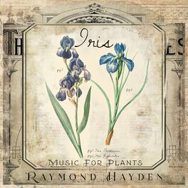 ameer arsalan recommends iris von hayden pic