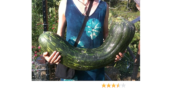 crystal lynn howard recommends massive zucchini oral pic