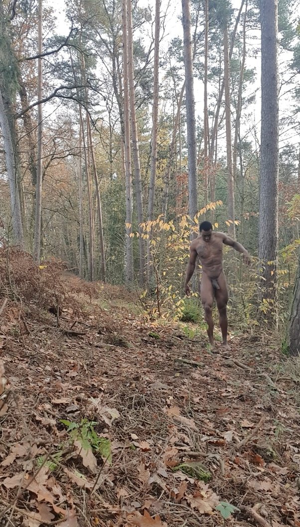 cecilia patino recommends naked men in the woods pic